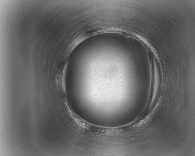X0000052600905200507081817
