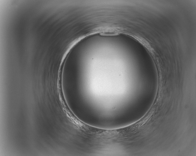 X0000052600912200507081817