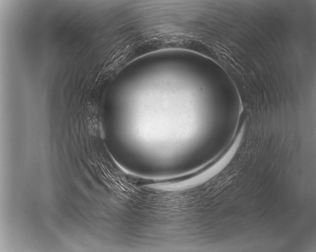 X0000052600916200507081816