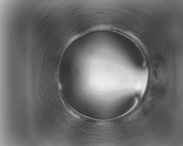 X0000052600953200507081817