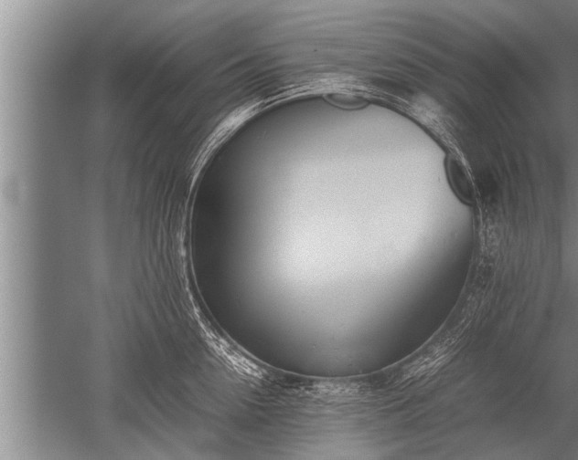 X0000052600954200507081817