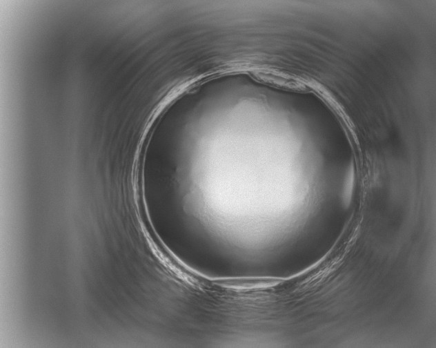 X0000052600957200507081817