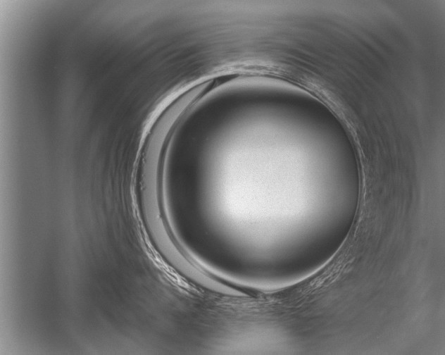 X0000052600960200507081817