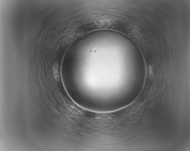 X0000052600963200507081816