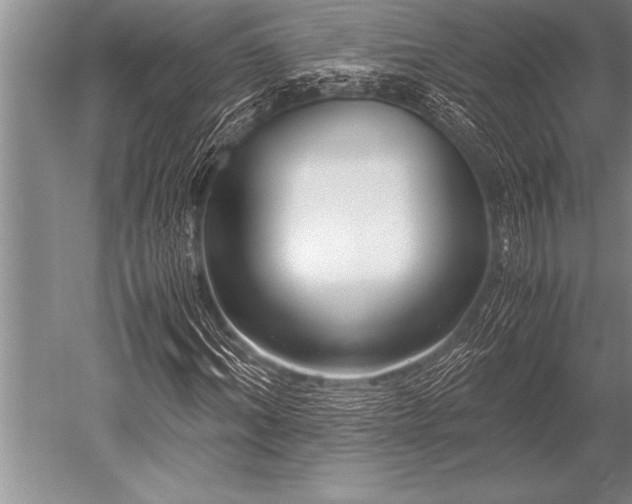 X0000052600964200507081816