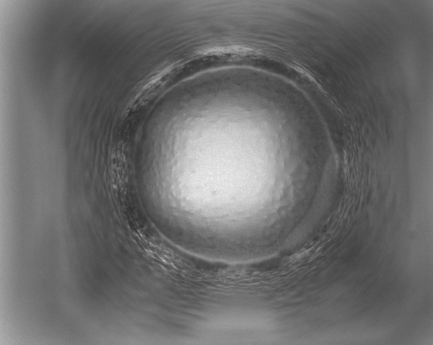 X0000052600967200507081816