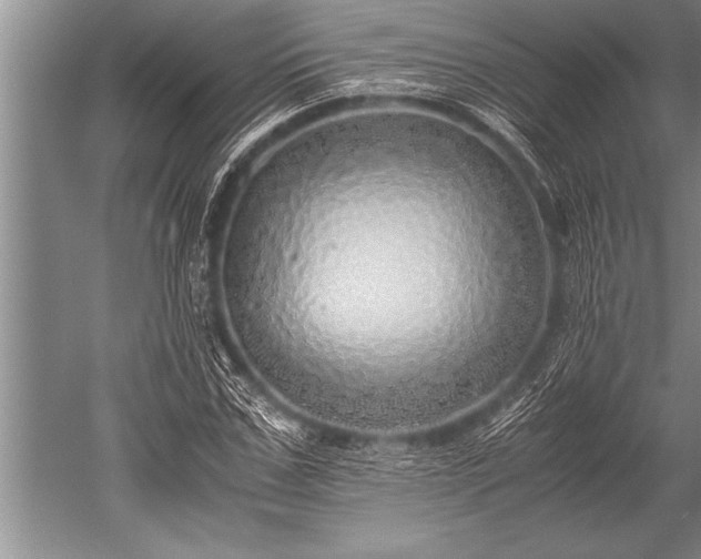X0000052600971200507081816