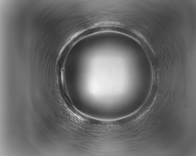 X0000052600973200507081816