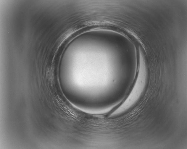 X0000052600975200507081816