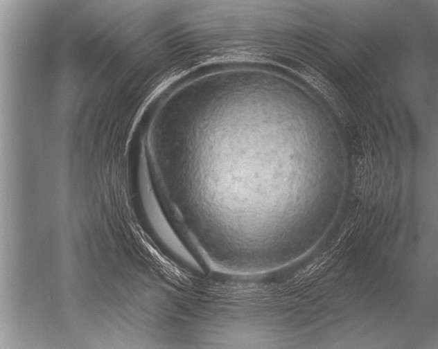 X0000052600982200507081816