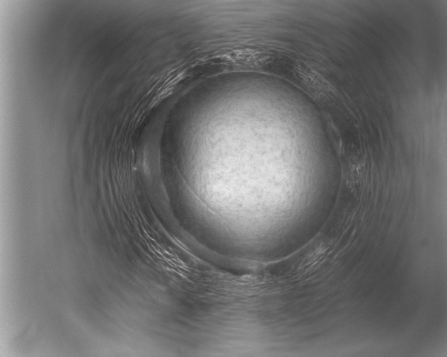 X0000052601010200507081814