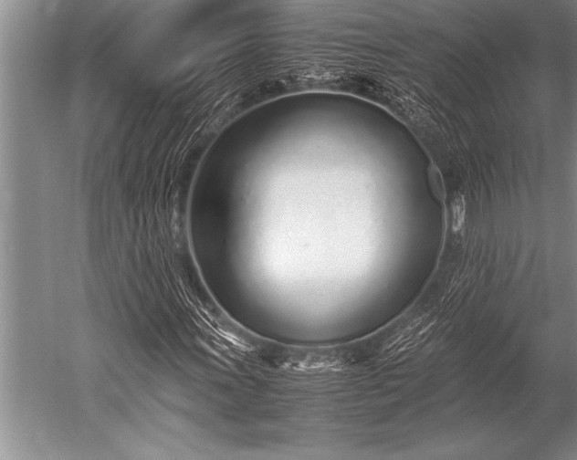X0000052601011200507081814