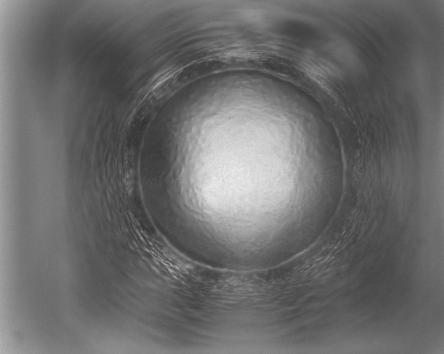 X0000052601015200507081814