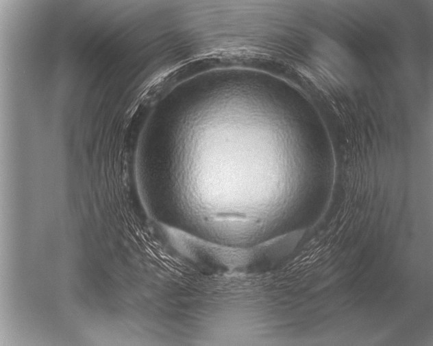 X0000052601016200507081814