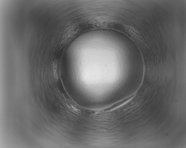 X0000052601060200507081814