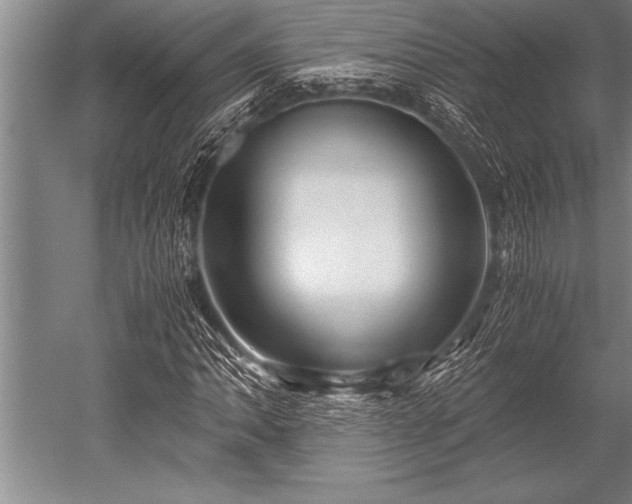 X0000052601062200507081814