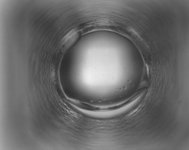 X0000052601065200507081814