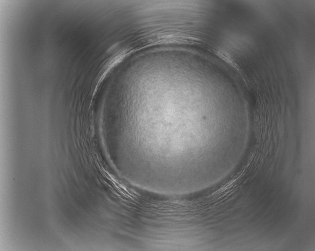 X0000052601067200507081814