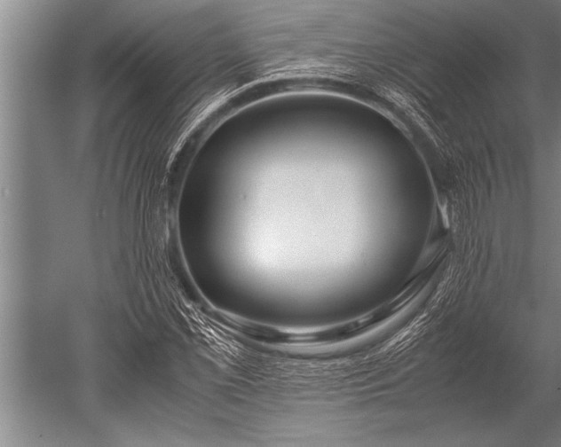 X0000052601069200507081814