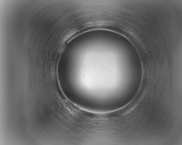 X0000052601073200507081814