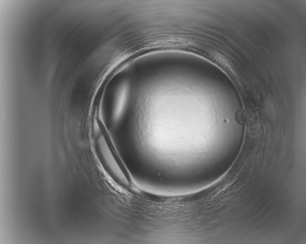 X0000052601087200507081814