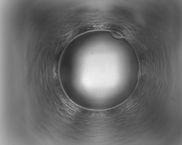 X0000052601106200507081813