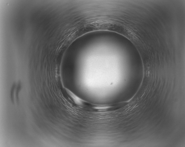 X0000052601108200507081813