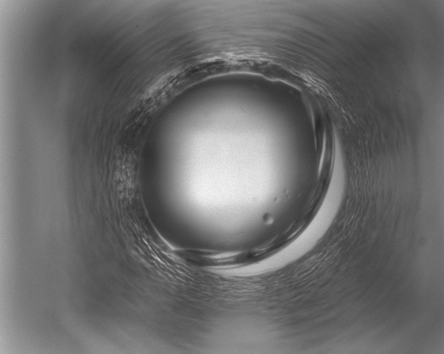 X0000052601110200507081813