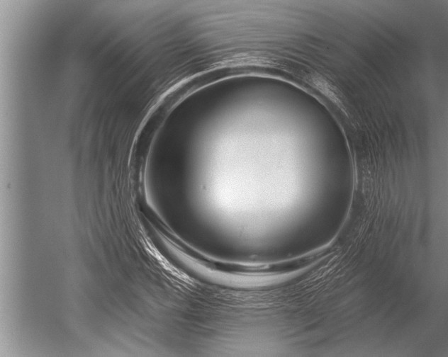 X0000052601116200507081813