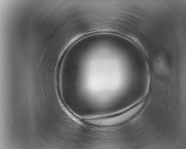 X0000052601142200507081813