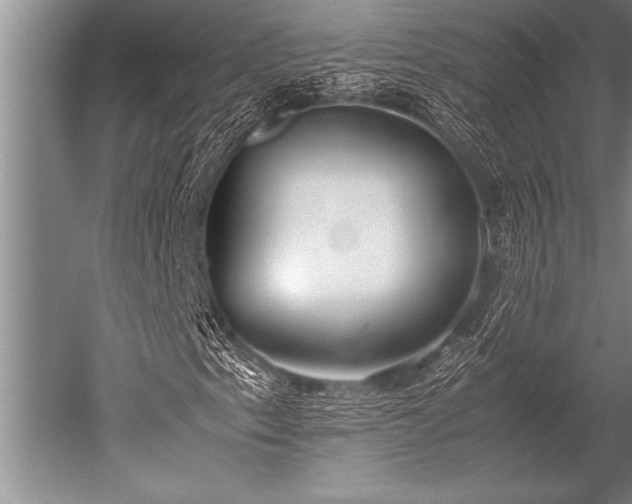 X0000052601153200507081813