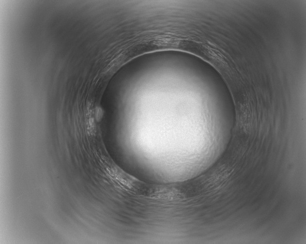 X0000052601154200507081813