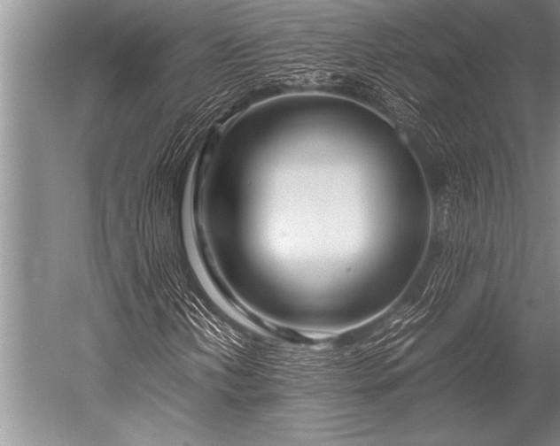 X0000052601202200507081811