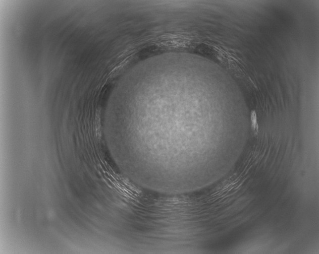 X0000052601203200507081811