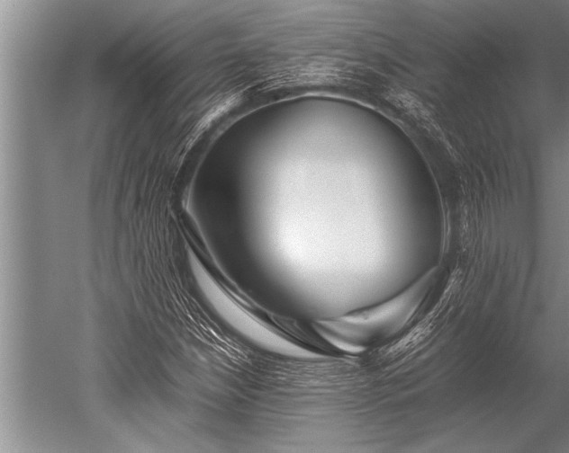 X0000052601210200507081811