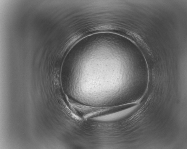 X0000052601225200507081811