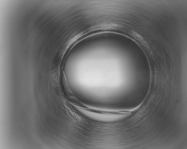 X0000052601226200507081811