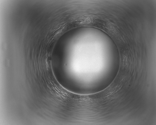 X0000052601250200507081811