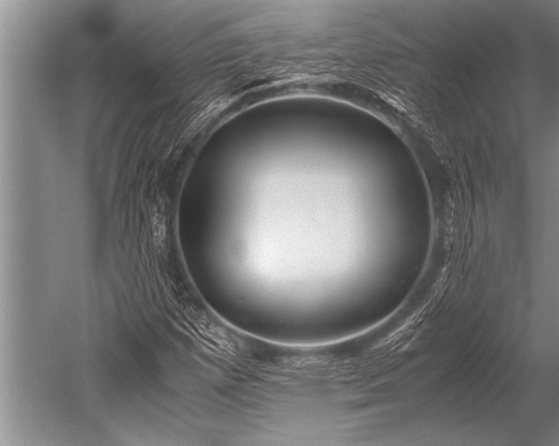 X0000052601257200507081811