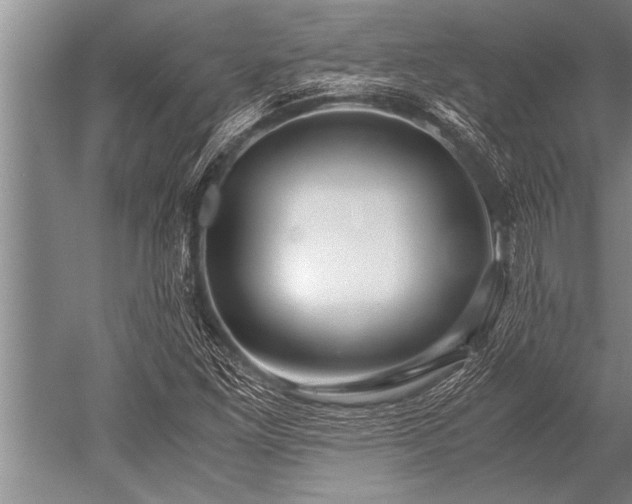 X0000052601261200507081811