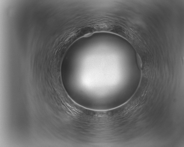 X0000052601297200507081809