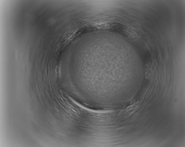 X0000052601298200507081809