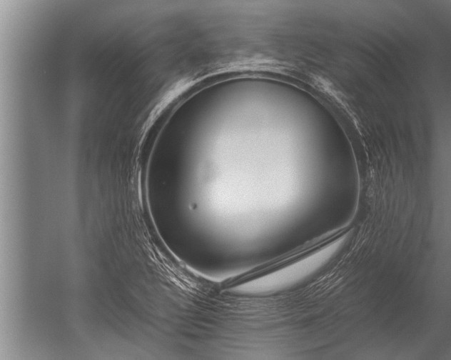 X0000052601320200507081810