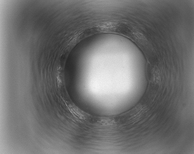 X0000052601346200507081809