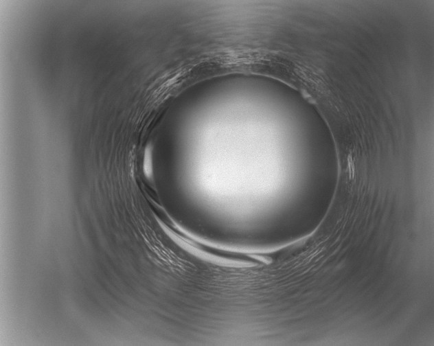 X0000052601348200507081809