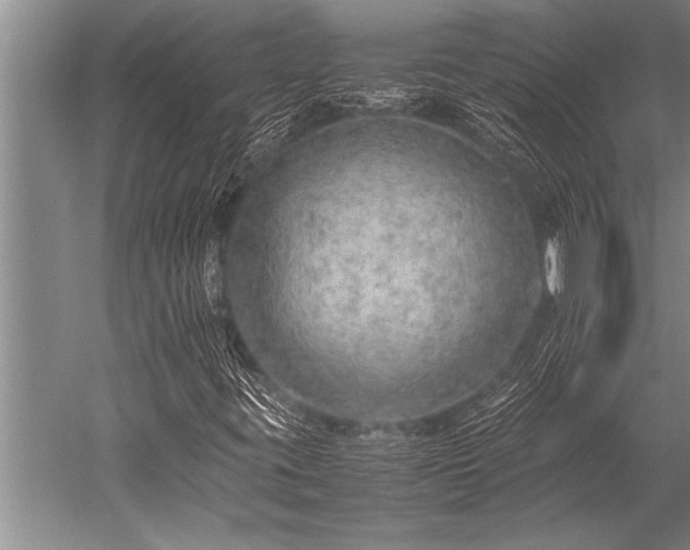 X0000052601395200507081808