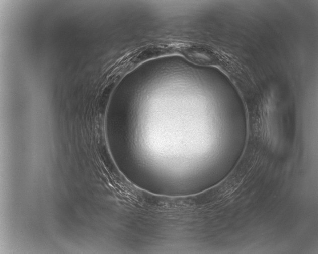 X0000052601397200507081808