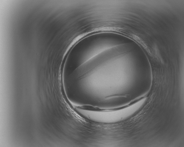 X0000052601428200507081808