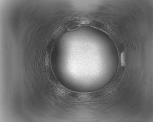 X0000052601443200507081808