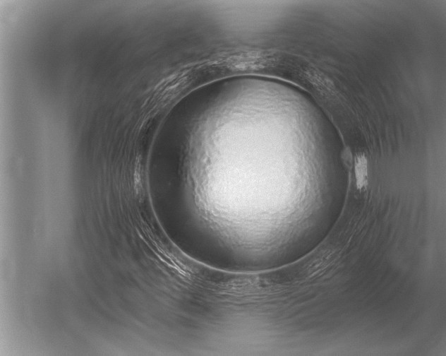 X0000052601444200507081808